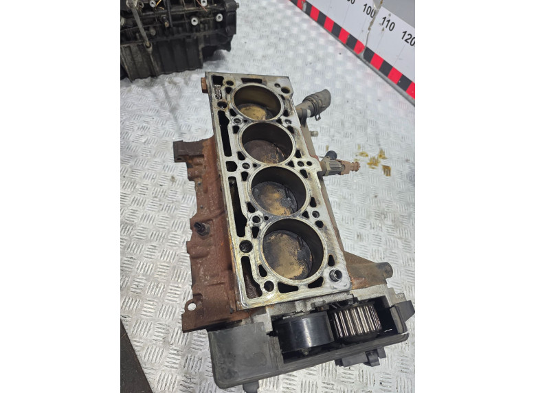 Блок цилиндров к Renault Scenic, 2002г.