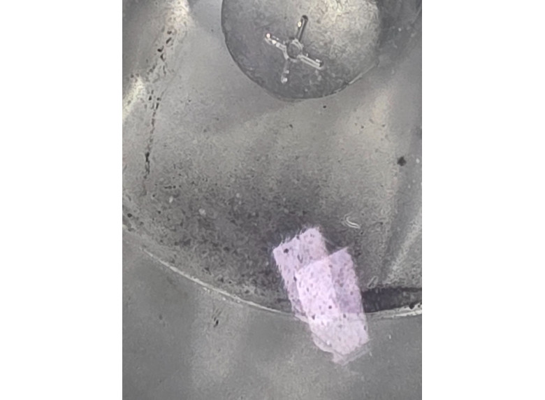 Фара противотуманная правая к Фара противотуманная правая к Renault Scenic 2001 г. Scenic