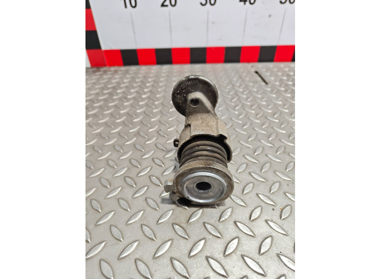 Натяжитель ремня генератора к Volkswagen Polo, 2005г.