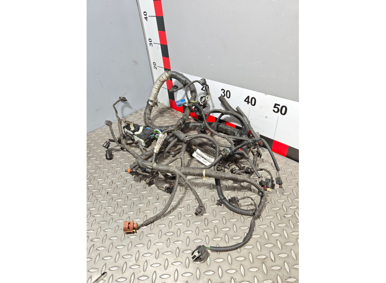 Проводка двигателя к Ford Fiesta, 2015г.