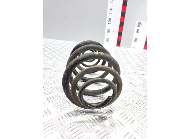 Пружина задняя к Renault Trafic, 2004г.