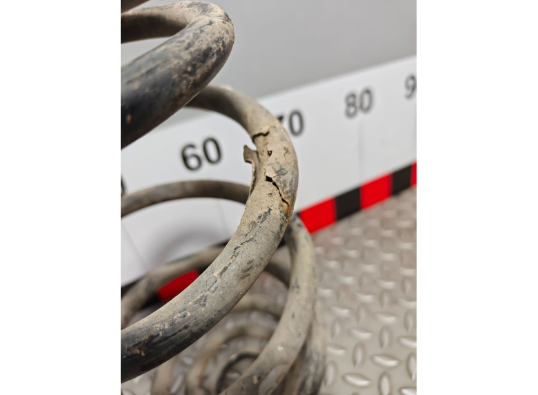 Пружина задняя к Opel Zafira, 2008г.