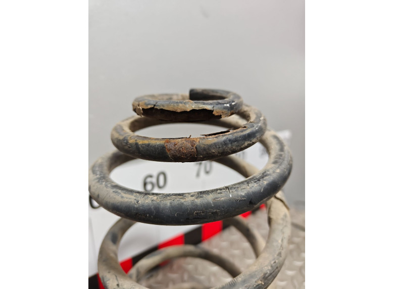 Пружина задняя к Opel Zafira, 2008г.