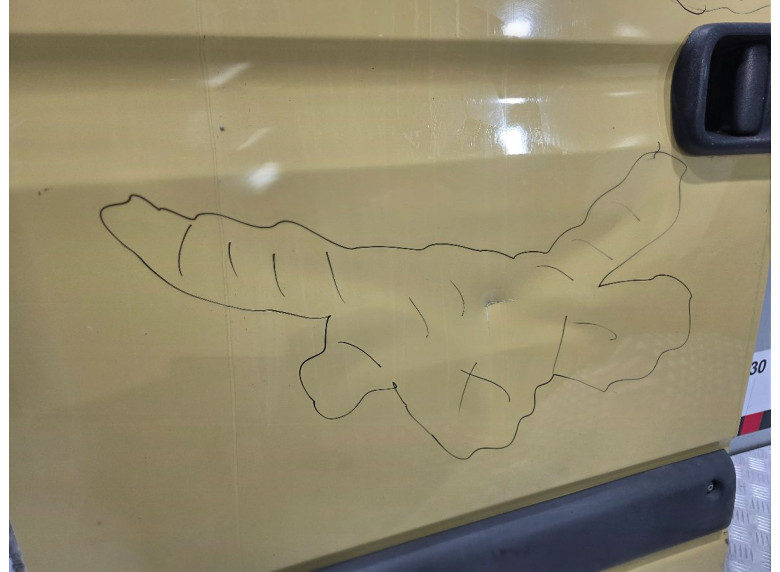 Дверь задняя левая к Iveco Daily, 2008г.