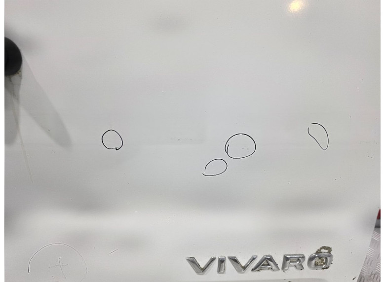 Дверь задняя распашная правая к Opel Vivaro, 2005г.