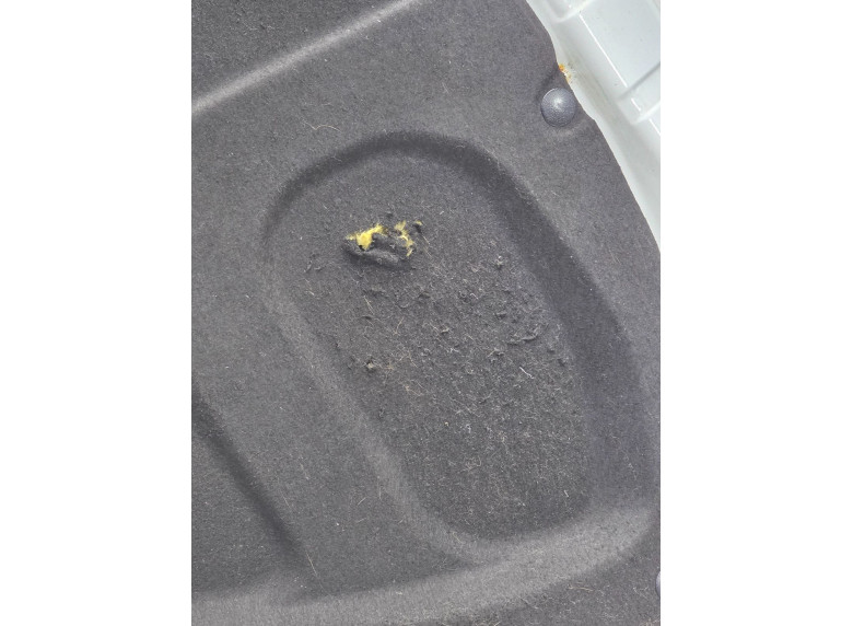 Шумоизоляция капота к Kia Ceed, 2011г.