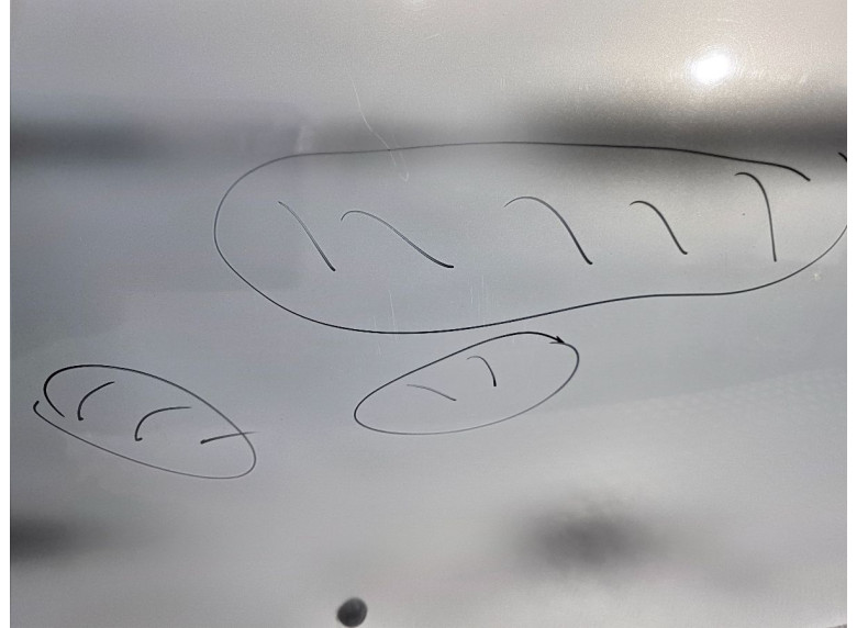 Капот к Renault Scenic, 2001г.