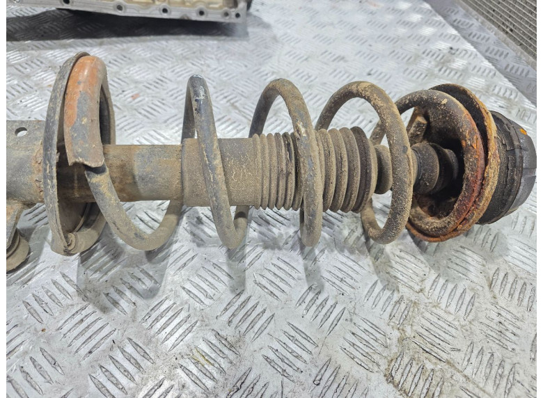 Пружина задняя к Renault Duster, 2017г.