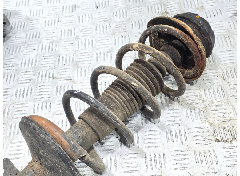 Пружина задняя к Renault Duster, 2017г.