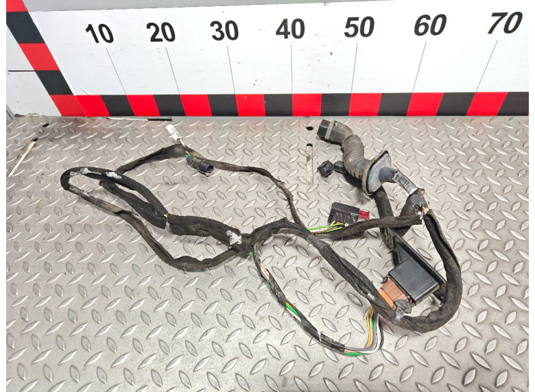 Проводка двери передней правой к Opel Vivaro, 2004г.