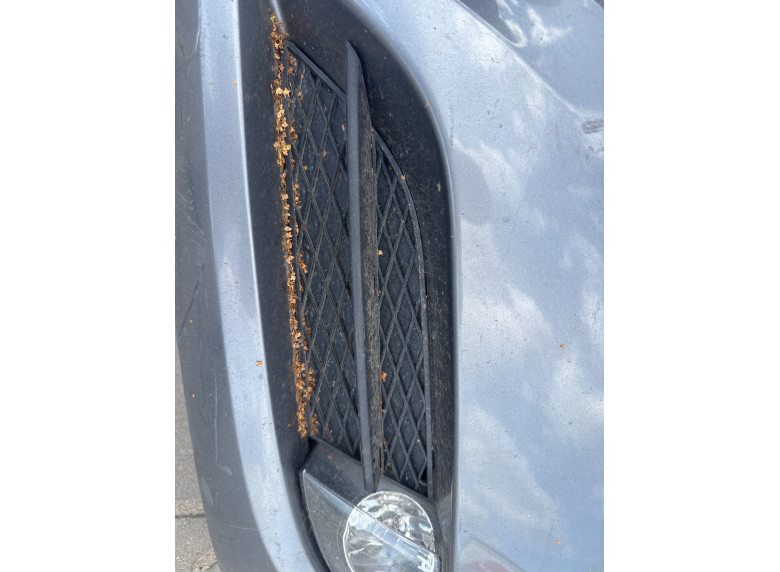 Заглушка (решетка) в бампер передний к BMW 3 E90/E91/E92/E93, 2011г.