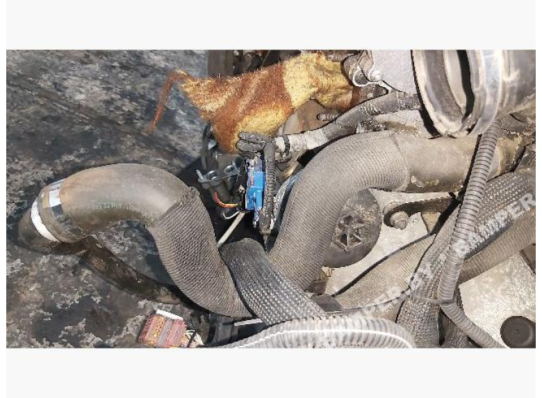 Патрубок радиатора к Citroen DS4, 2010г.