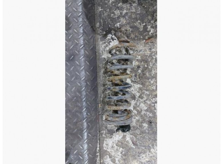 Пружина задняя к Dacia Sandero