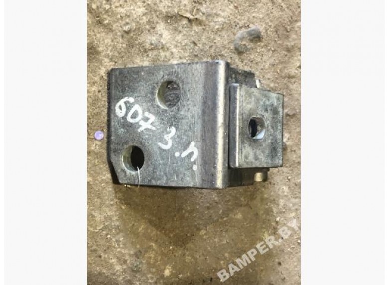 Петля двери к Peugeot 607