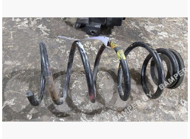 Пружина задняя к Fiat Punto