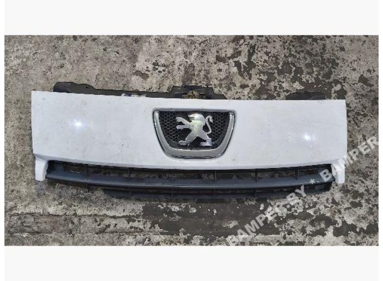 Решетка радиатора к Peugeot Expert, 2009г.