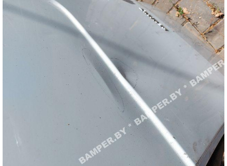 Дверь задняя распашная правая к Renault Kangoo, 2008г.