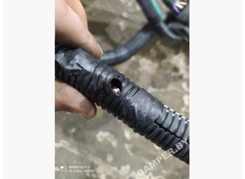 Проводка двигателя к Renault Master, 2003г.