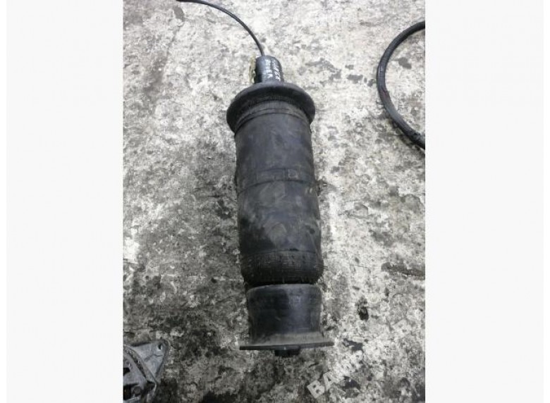 Пневмостойка передняя к Land-Rover Range Rover