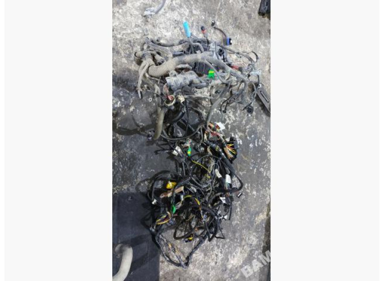 Проводка салона к Dacia Sandero, 2009г.