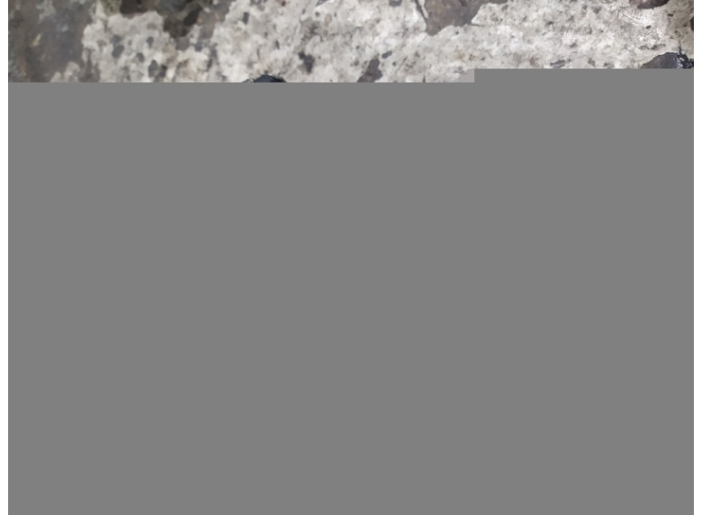 ТНВД к Mercedes A W169, 2005г.