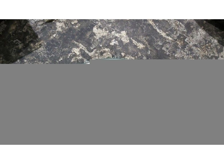 Накладка подсветки номера к Hyundai Getz, 2005г.